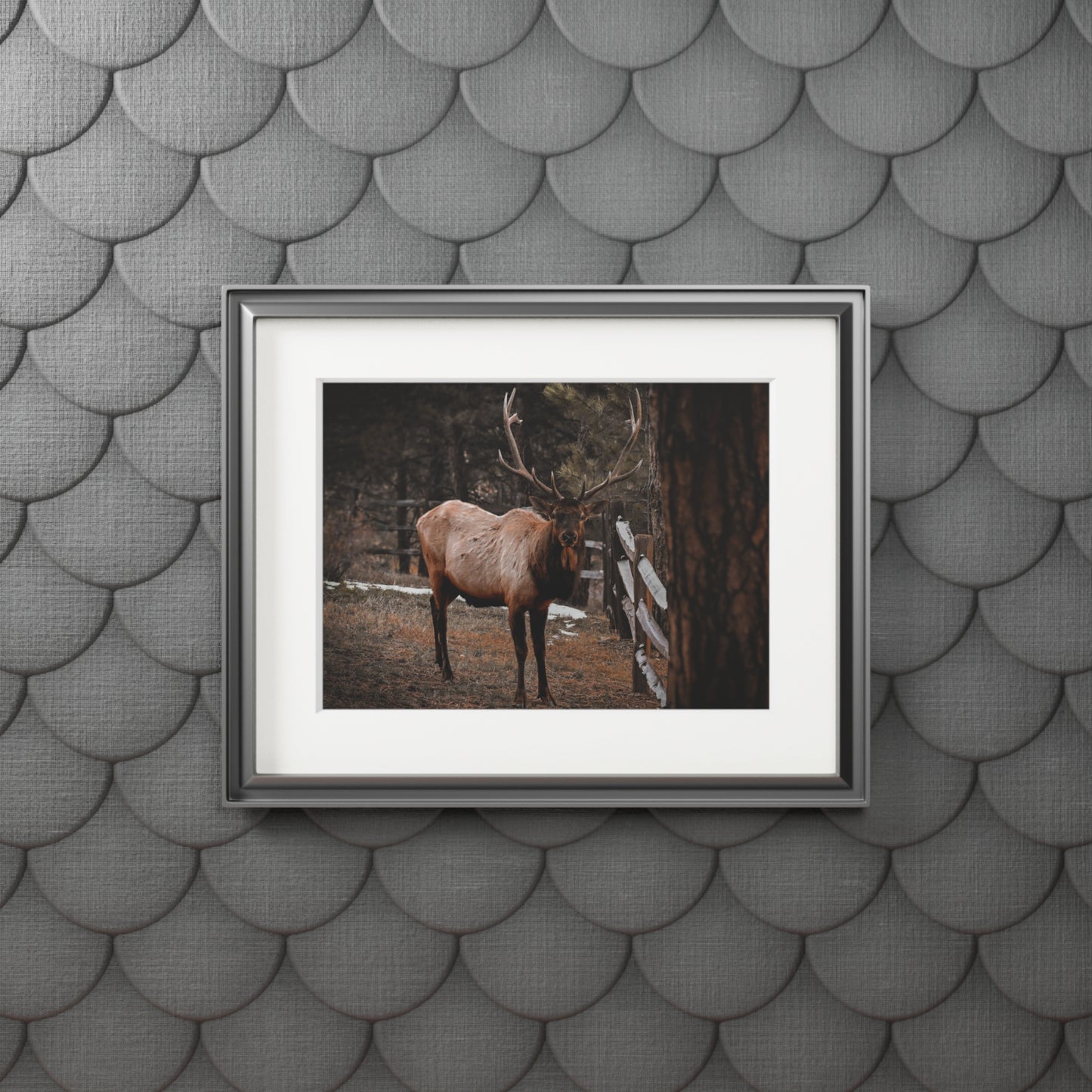 "Fred Astaire" Fine Art Prints (Passepartout Paper Frame)