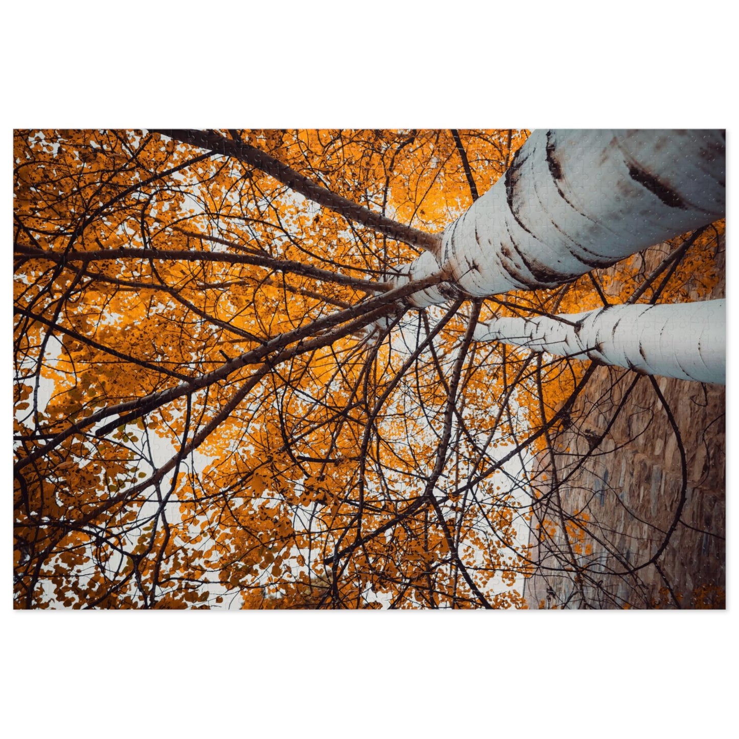 "Aspen Canopy" Jigsaw Puzzle (30, 110, 252, 500,1000-Piece)