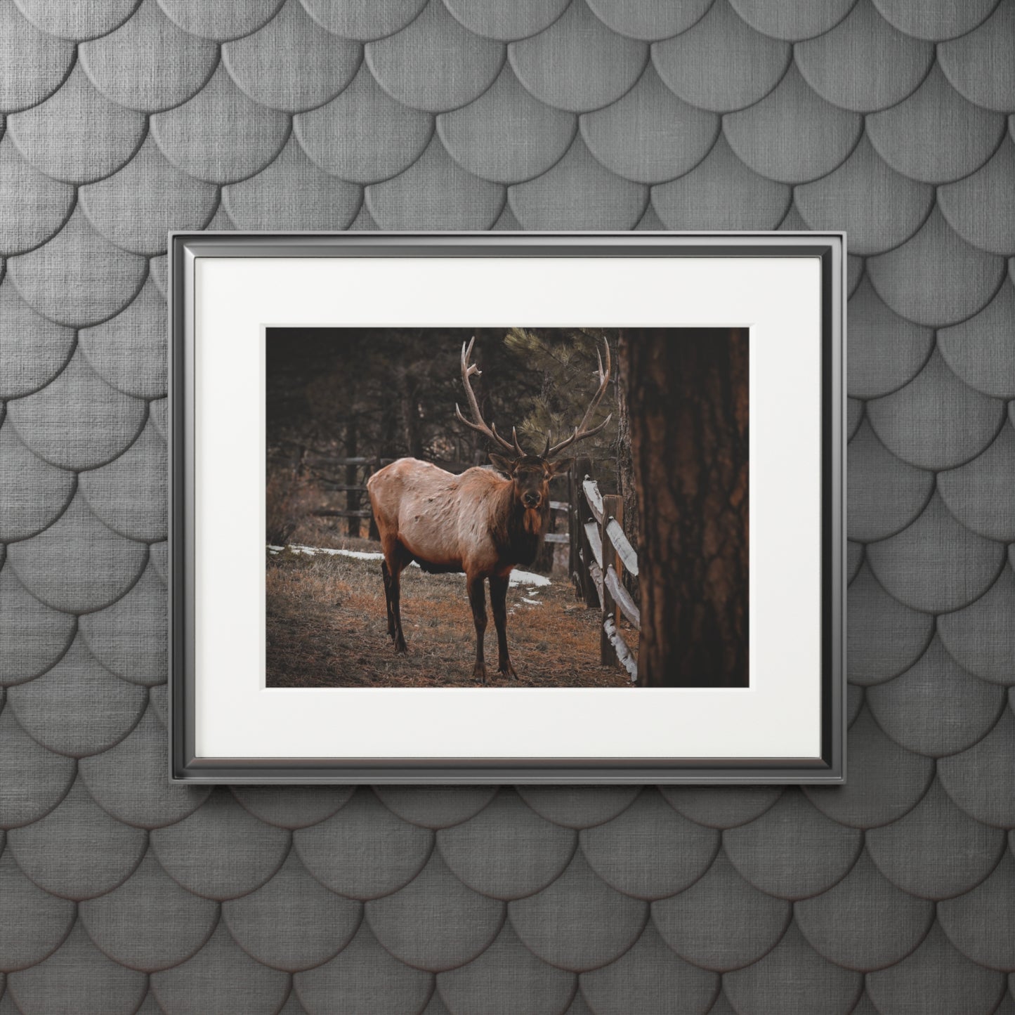 "Fred Astaire" Fine Art Prints (Passepartout Paper Frame)