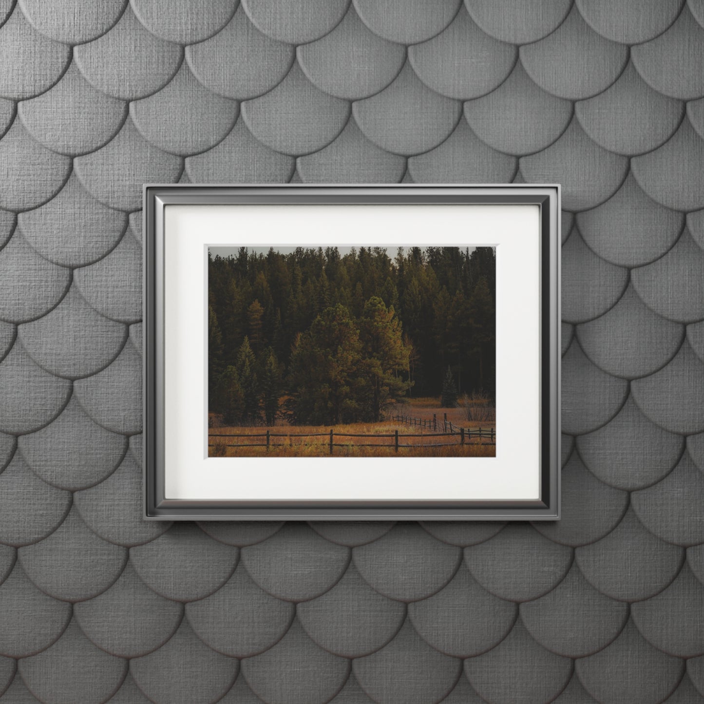 "Forest's Edge" Fine Art Prints (Passepartout Paper Frame)