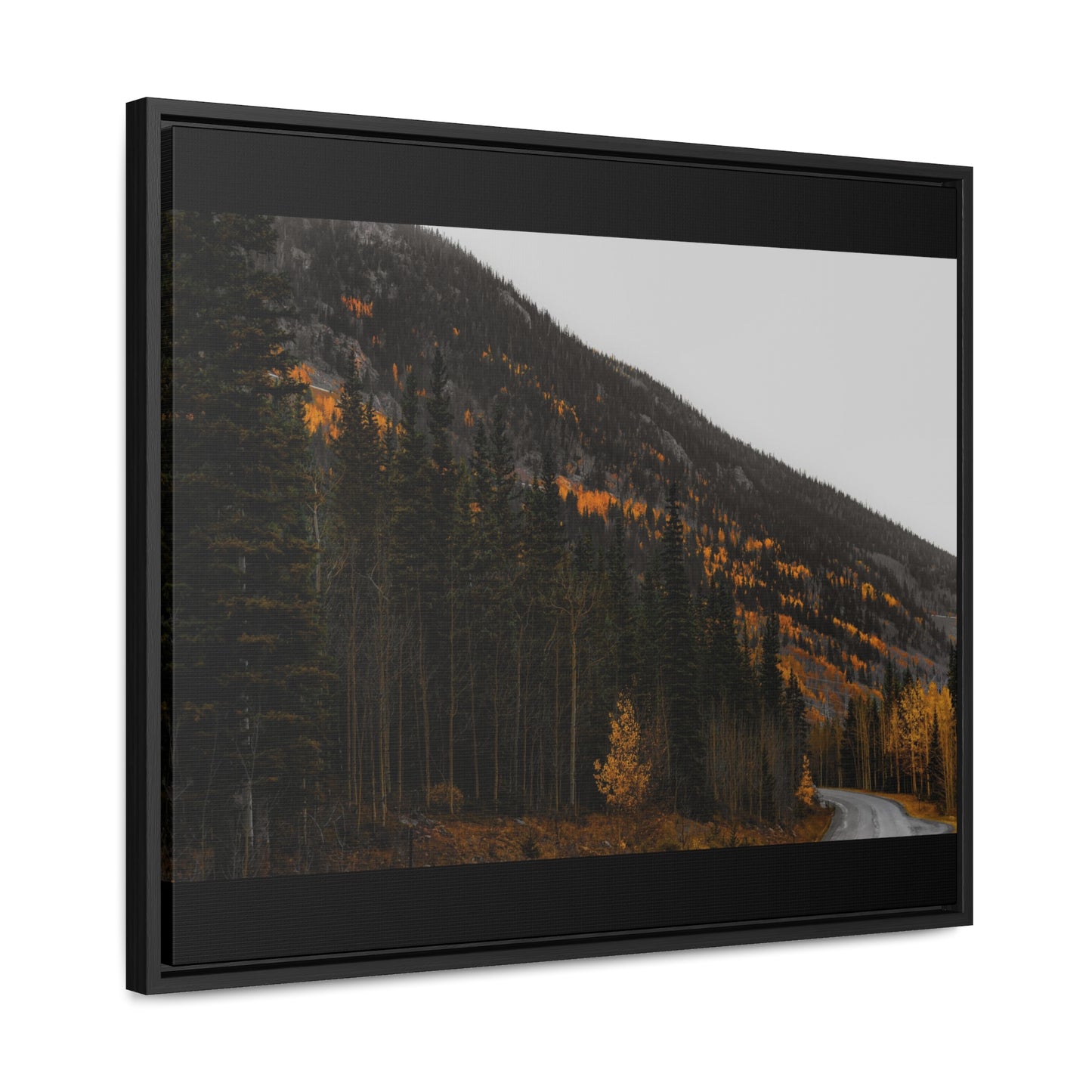 The Lonely Road Framed Gallery Canvas
