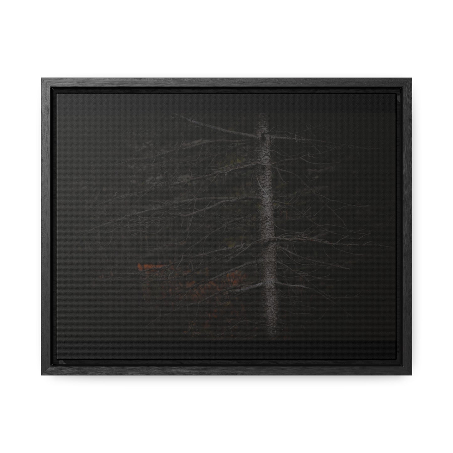 Beauty in Darkness Framed Gallery Canvas