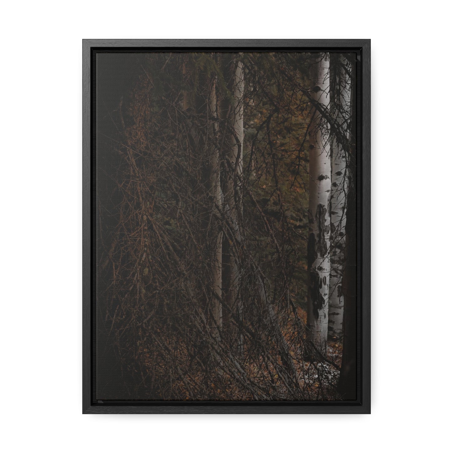 The Dark Forest Gallery Canvas Wraps, Vertical Frame