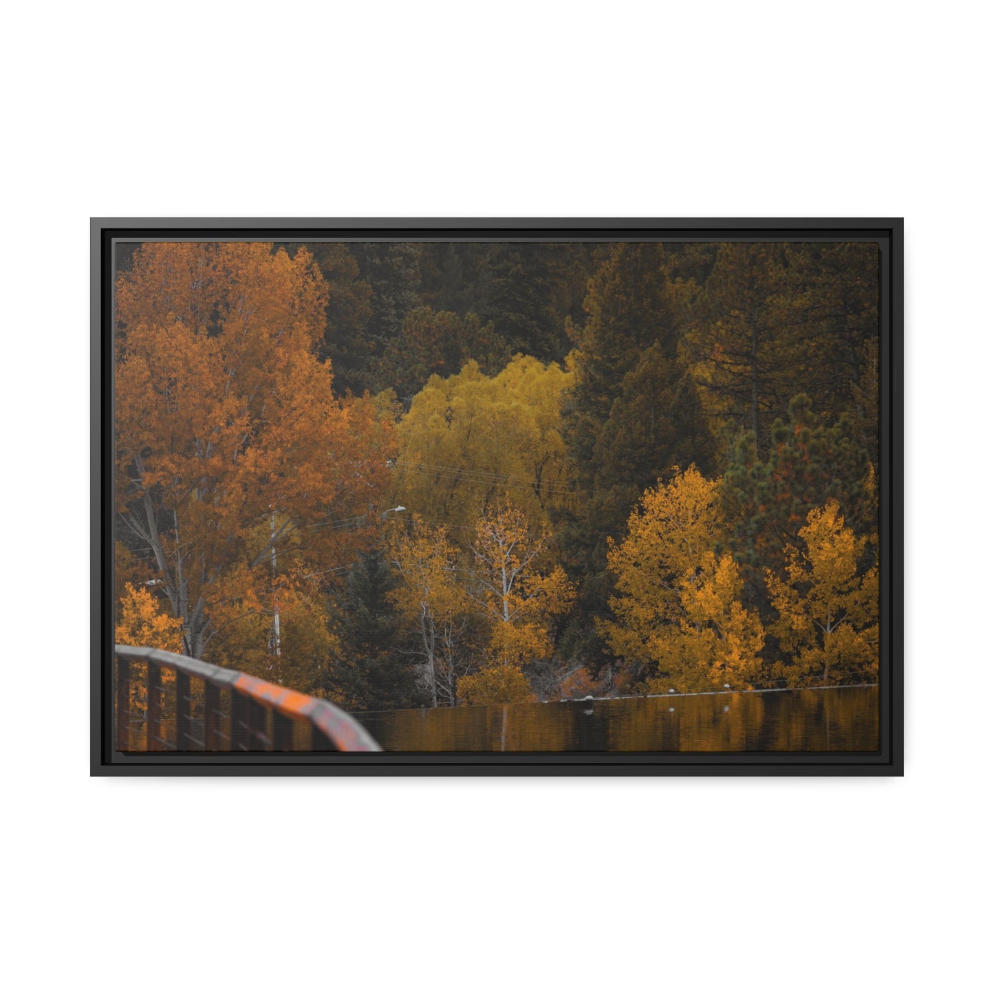 Fall Feelings Framed Canvas