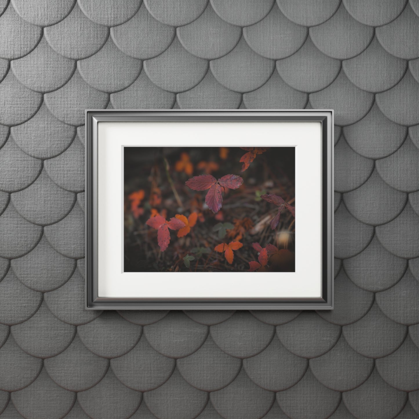 "Autumn Leaves" Fine Art Prints (Passepartout Paper Frame)