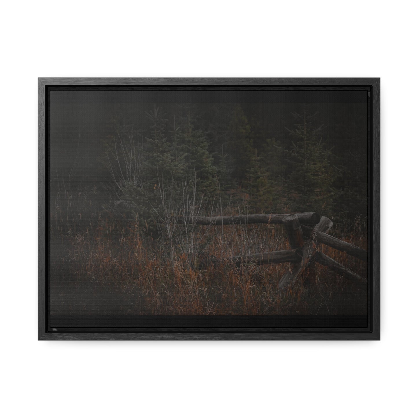 Countryside Forest Framed Gallery Canvas