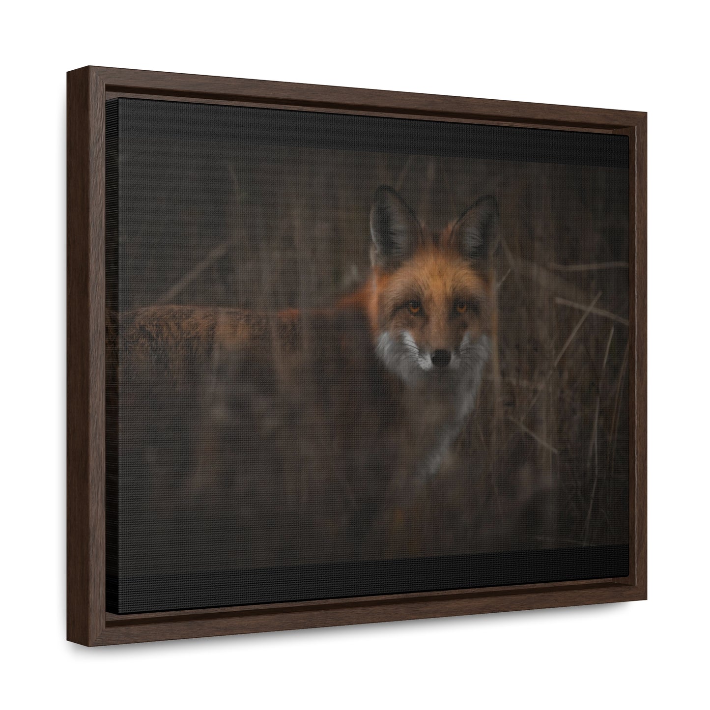 Fox Framed Gallery Canvas