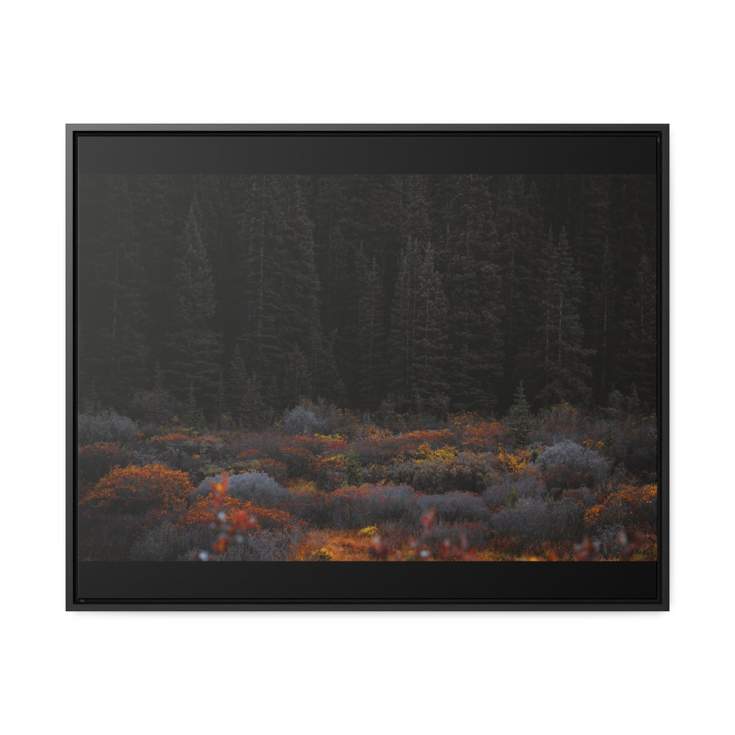 Moody Forest Framed Gallery Canvas