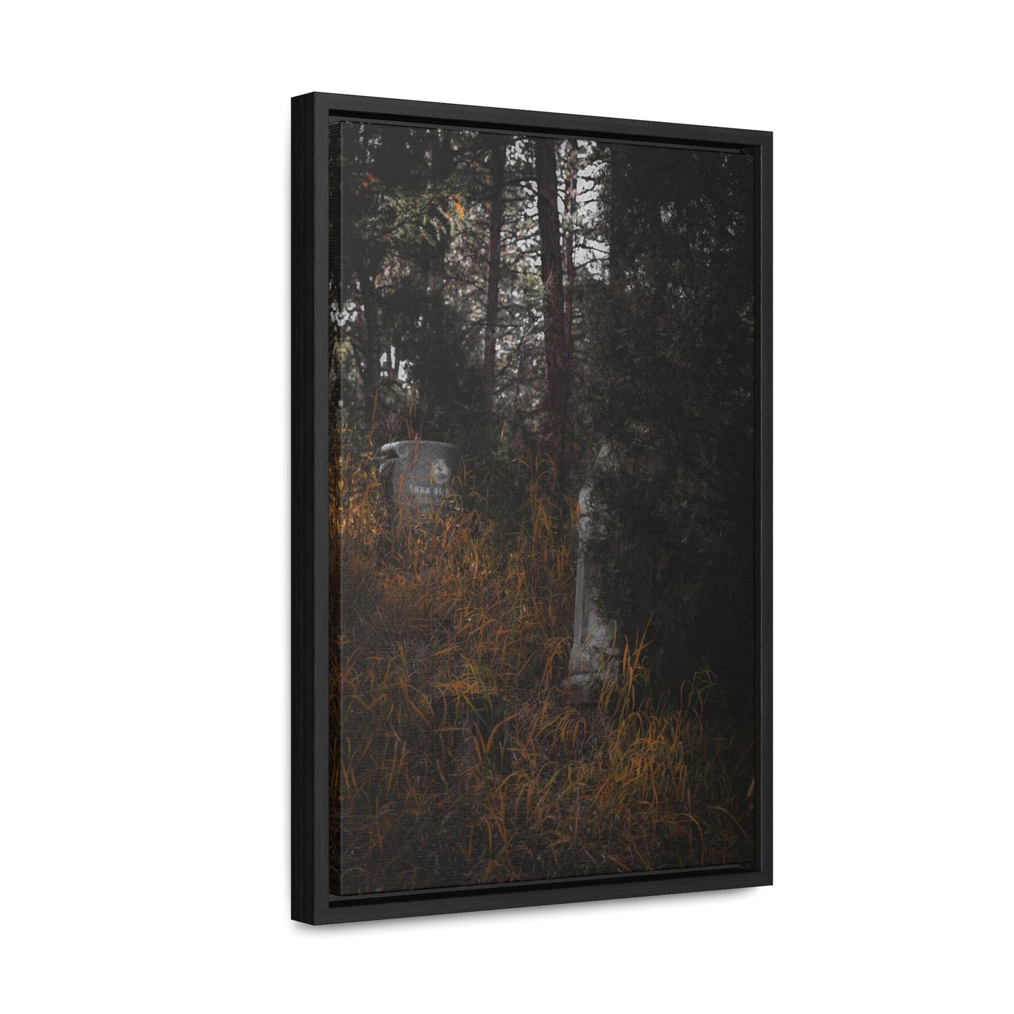 "Hidden Stories" Gallery Canvas Wraps, Vertical Frame