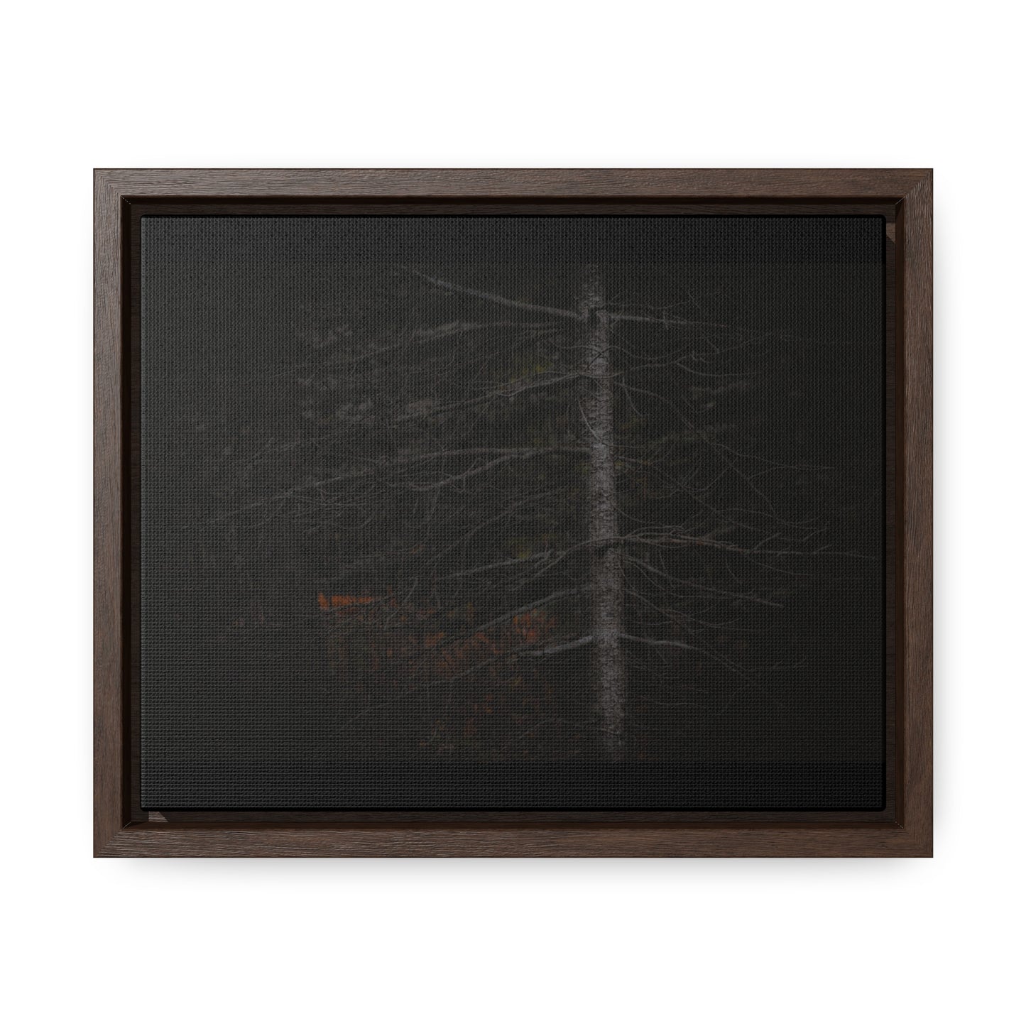 Beauty in Darkness Framed Gallery Canvas