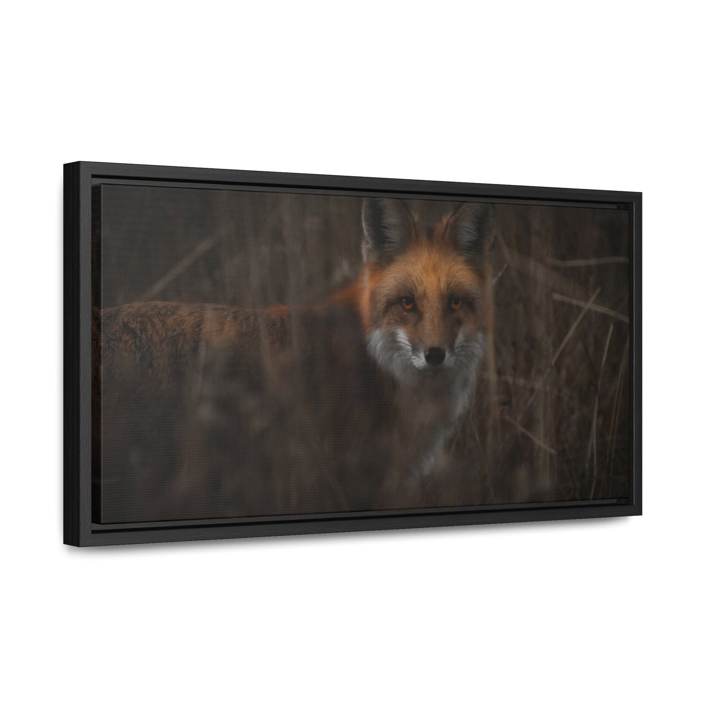 Fox Framed Gallery Canvas