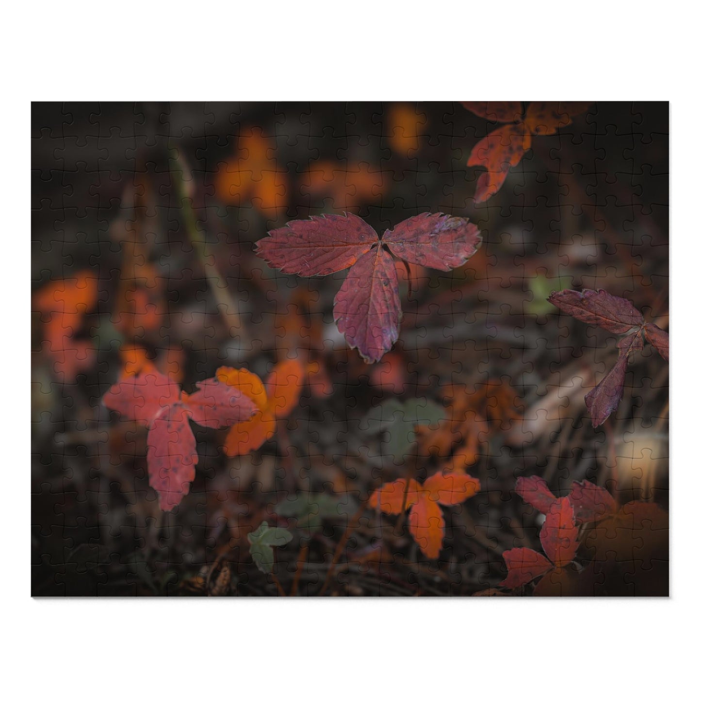 "Autumn Wood" Jigsaw Puzzle (30, 110, 252, 500,1000-Piece)