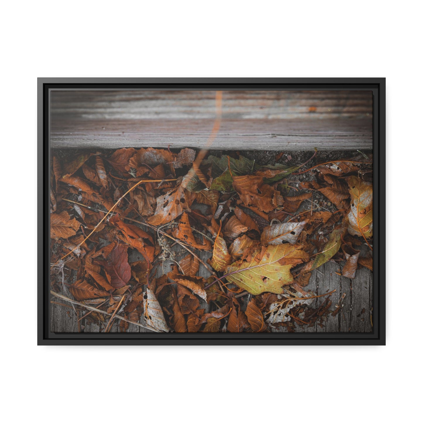 "Leaves on a Bridge" Framed Canvas