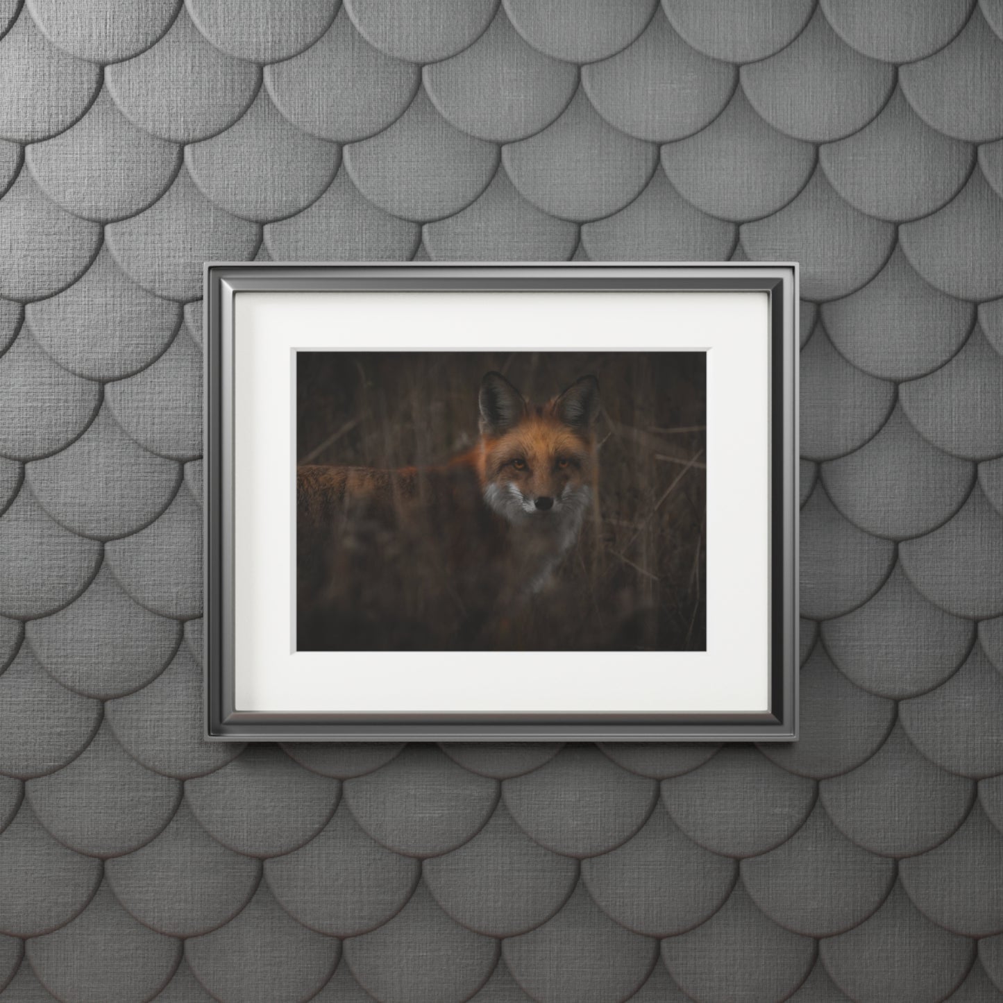 "Fox" Fine Art Prints (Passepartout Paper Frame)