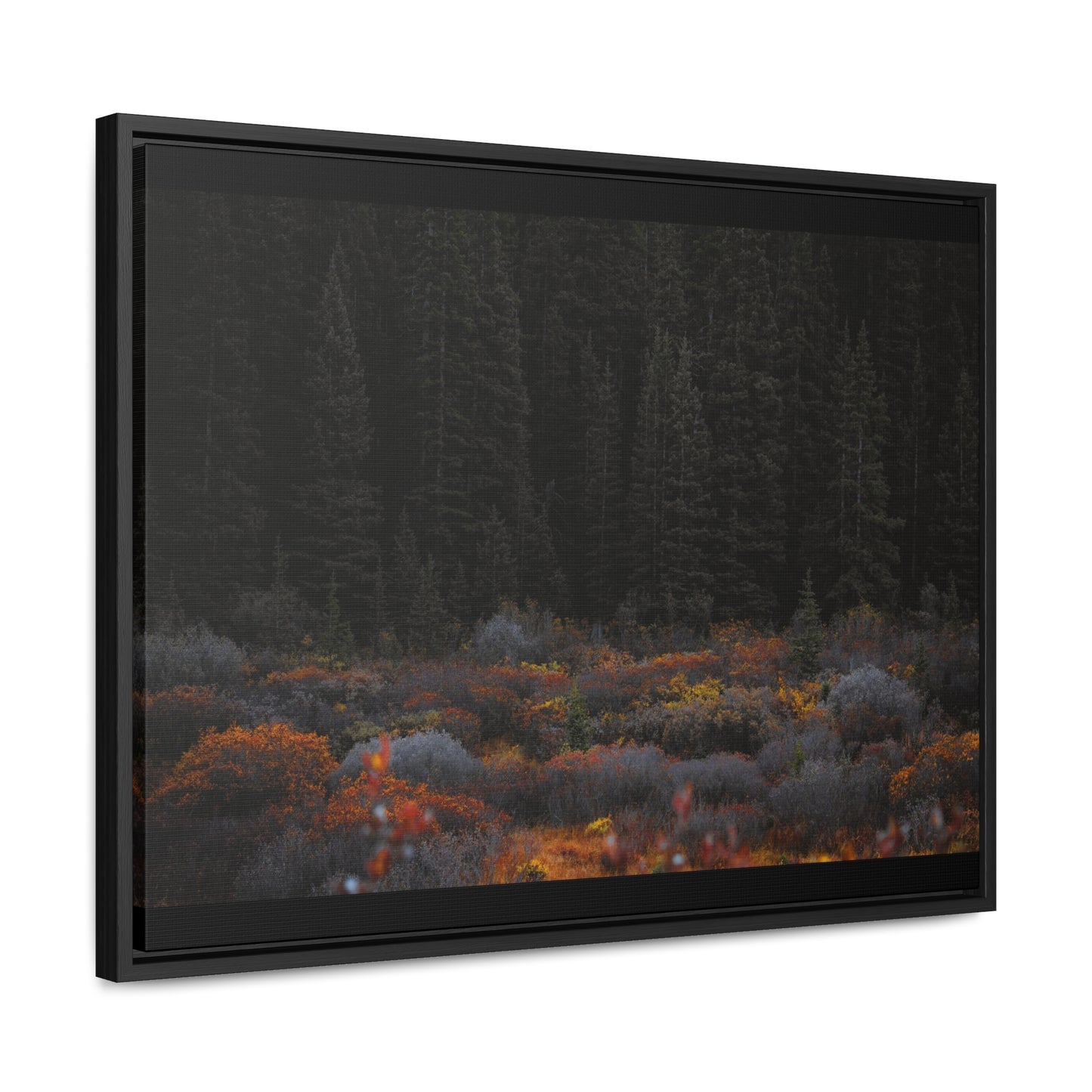 Moody Forest Framed Gallery Canvas