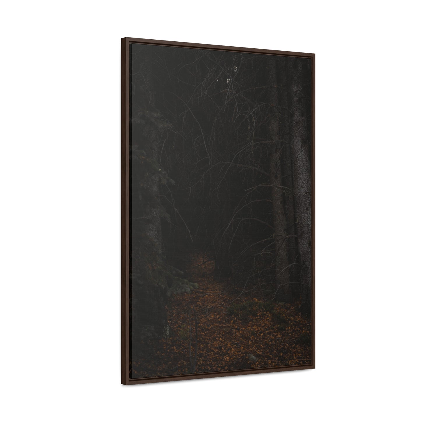 Into the Woods Gallery Canvas Wraps, Vertical Frame