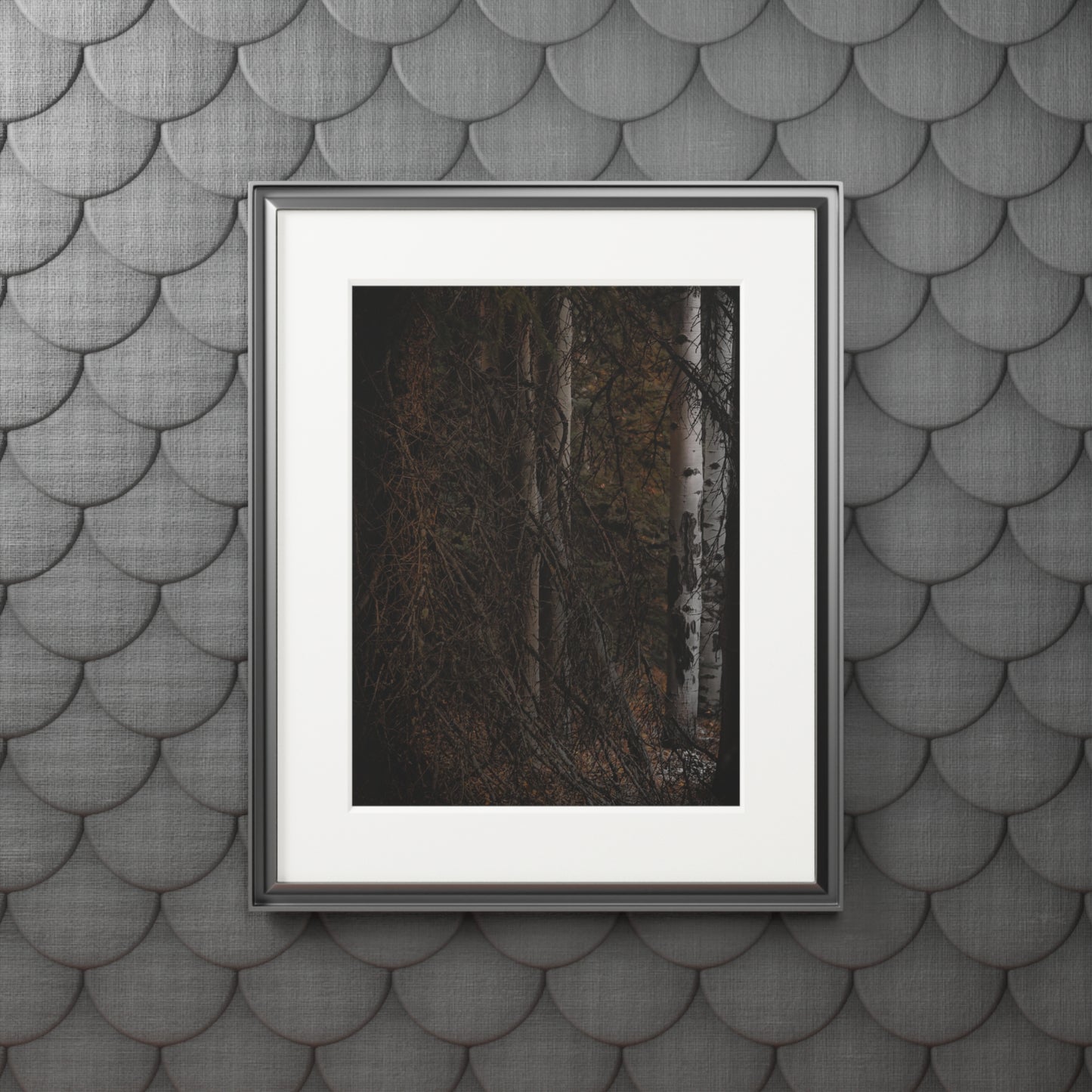 "The Dark Forest" Fine Art Prints (Passepartout Paper Frame)