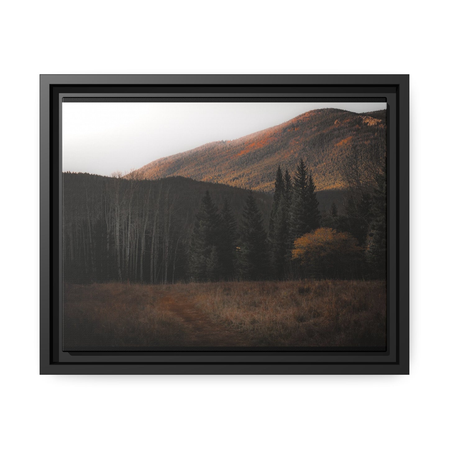 Evening Glow Framed Canvas