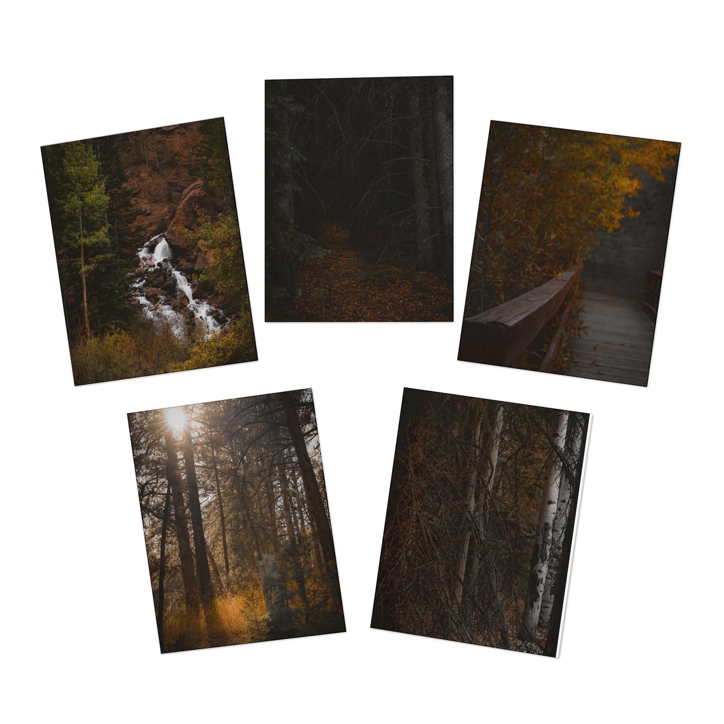 "Autumn Trails" Multi-Design Greeting Cards (5-Pack)