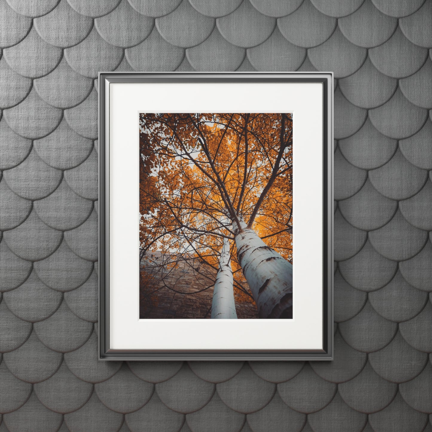 "Aspen Canopy" Fine Art Prints (Passepartout Paper Frame)