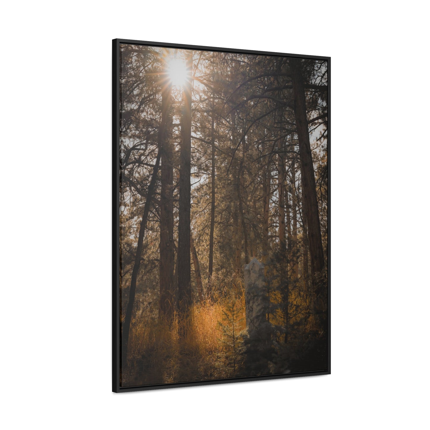 The Sun in the Cemetery Gallery Canvas Wraps, Vertical Frame