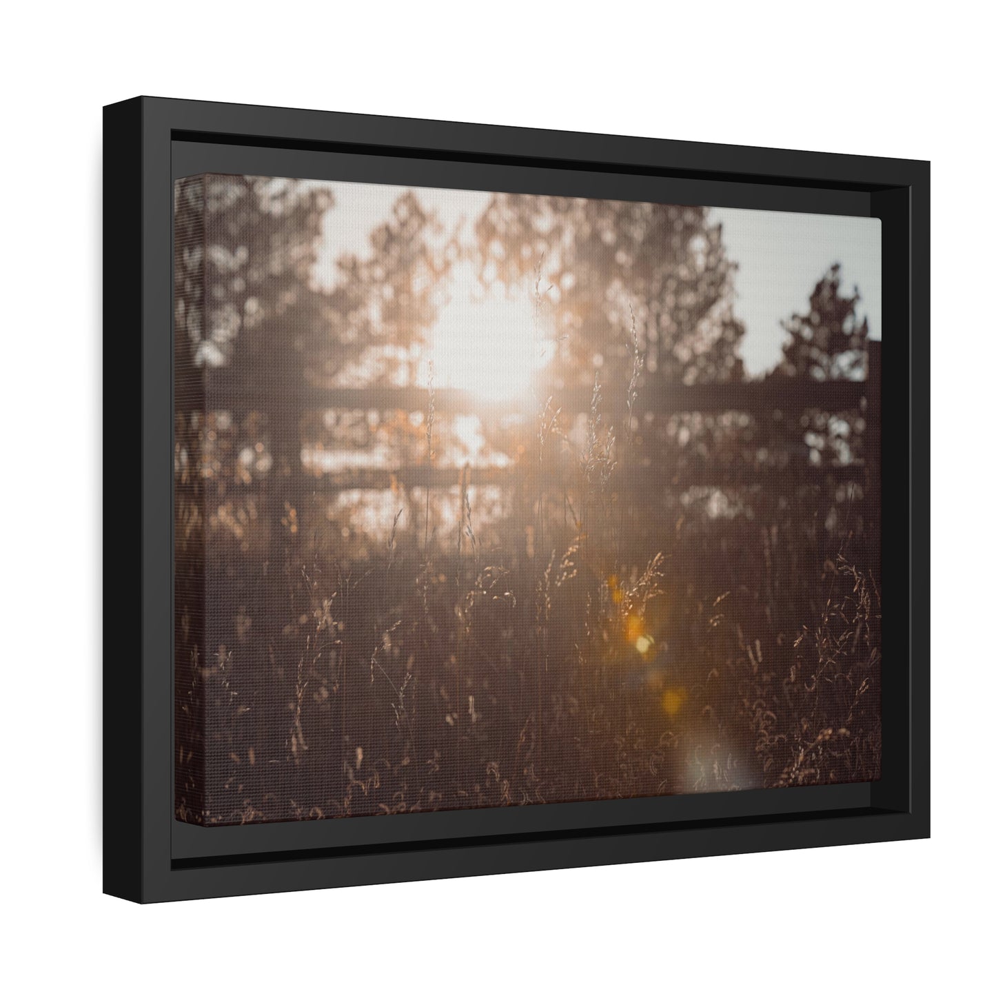 "October Sun" Framed Canvas