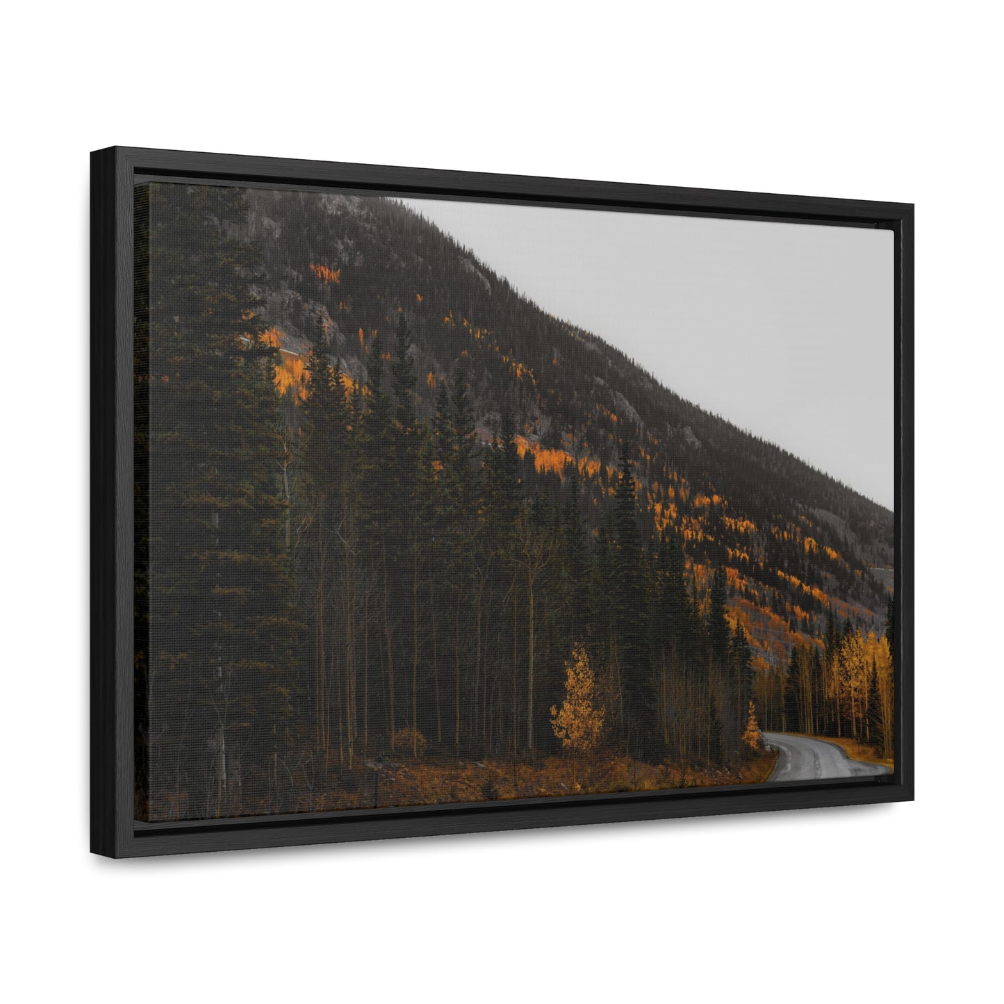 The Lonely Road Framed Gallery Canvas