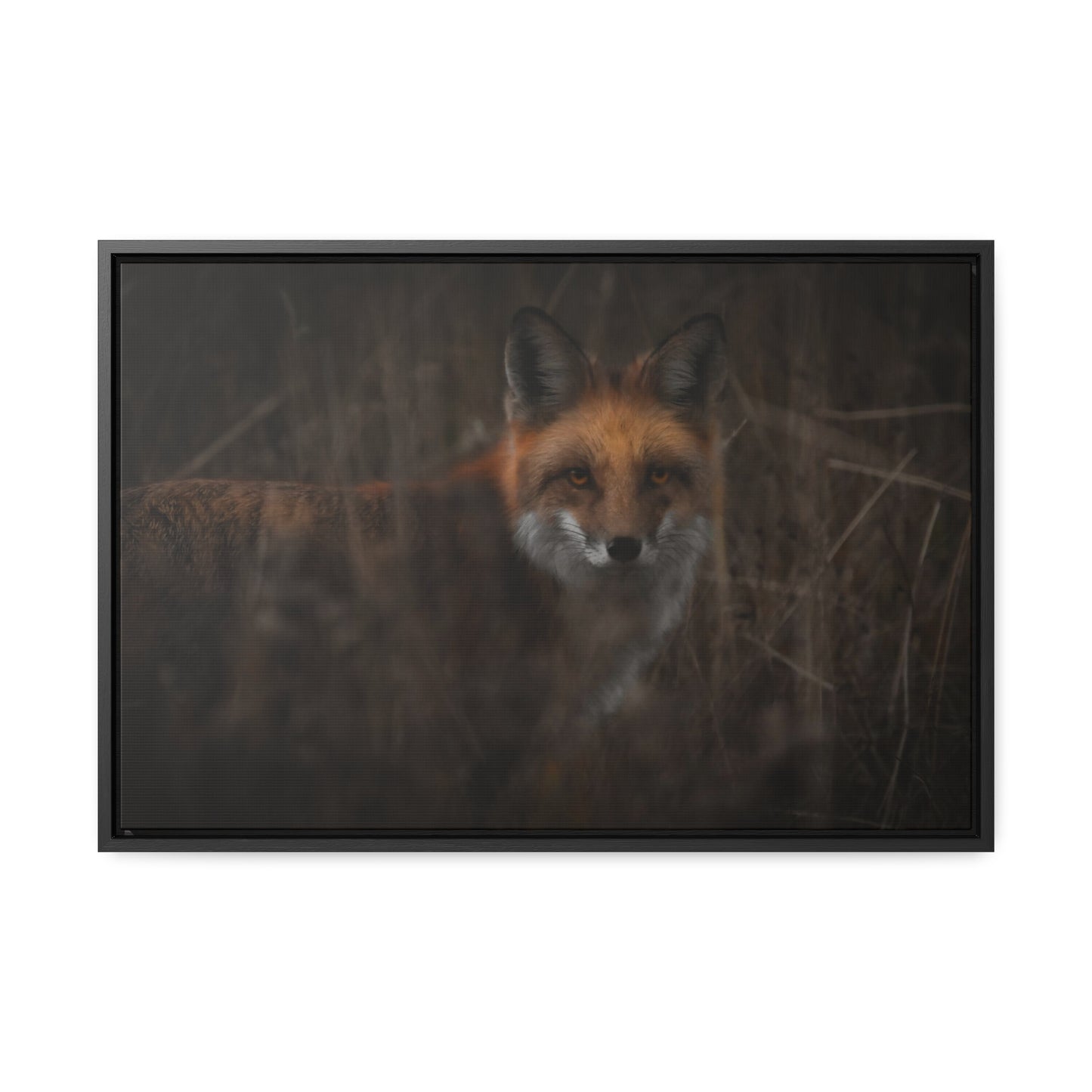 Fox Framed Gallery Canvas