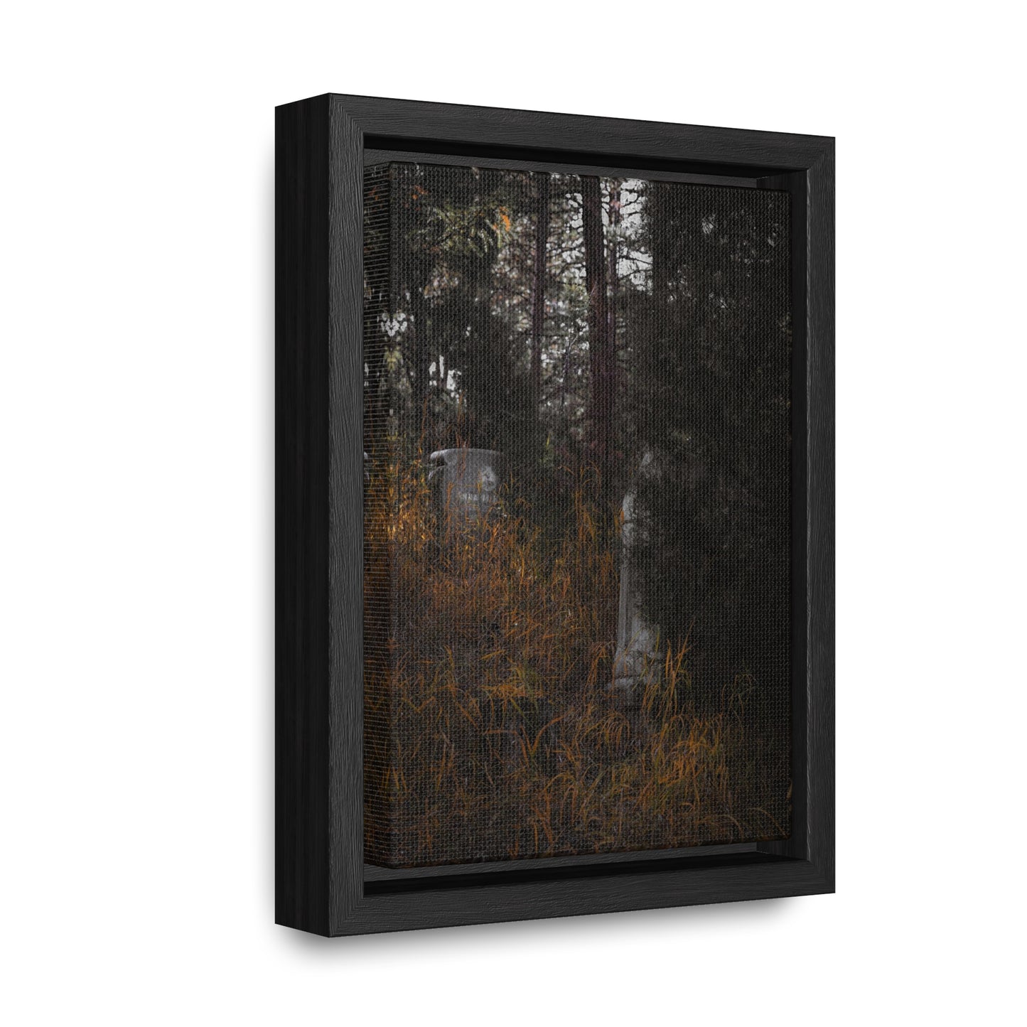 "Hidden Stories" Gallery Canvas Wraps, Vertical Frame