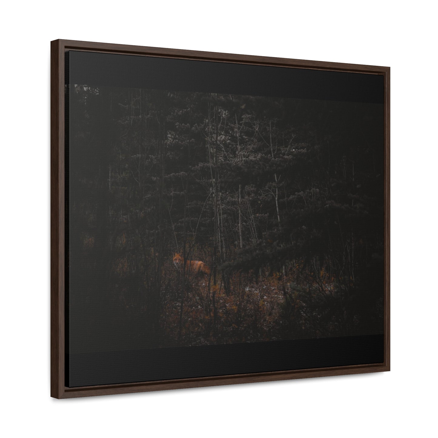 The Fox of the Forest Framed Gallery Canvas