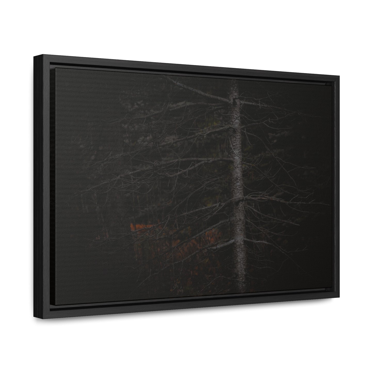 Beauty in Darkness Framed Gallery Canvas