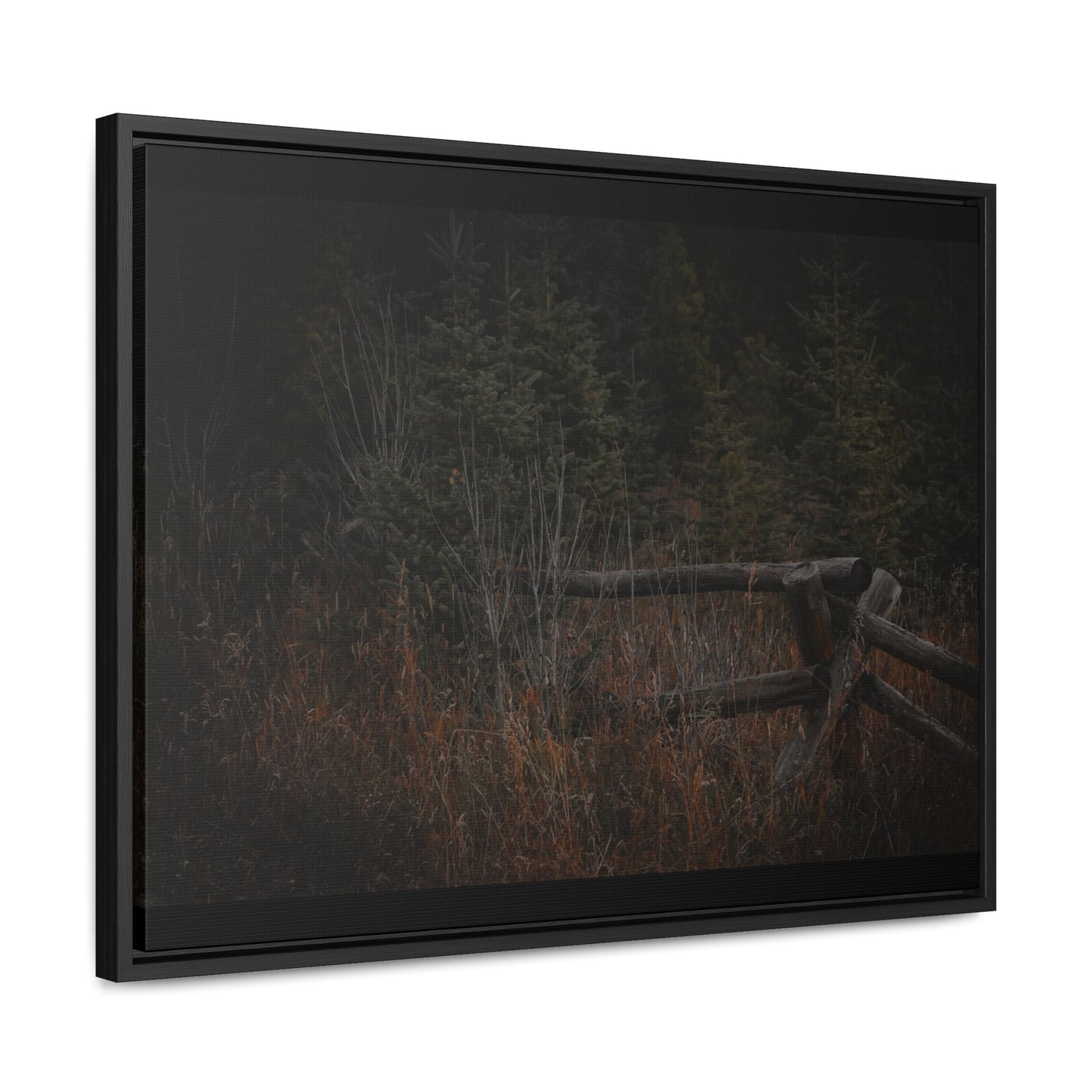 Countryside Forest Framed Gallery Canvas