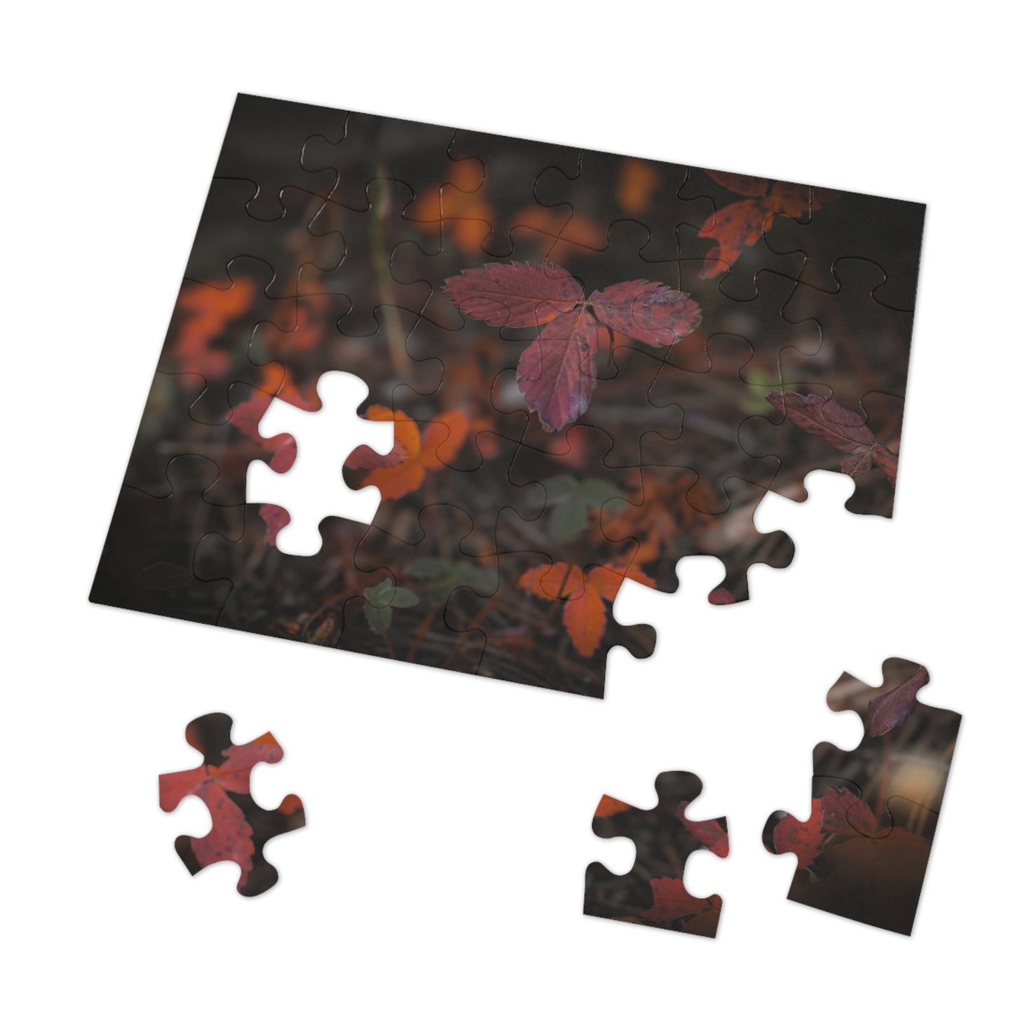 "Autumn Wood" Jigsaw Puzzle (30, 110, 252, 500,1000-Piece)