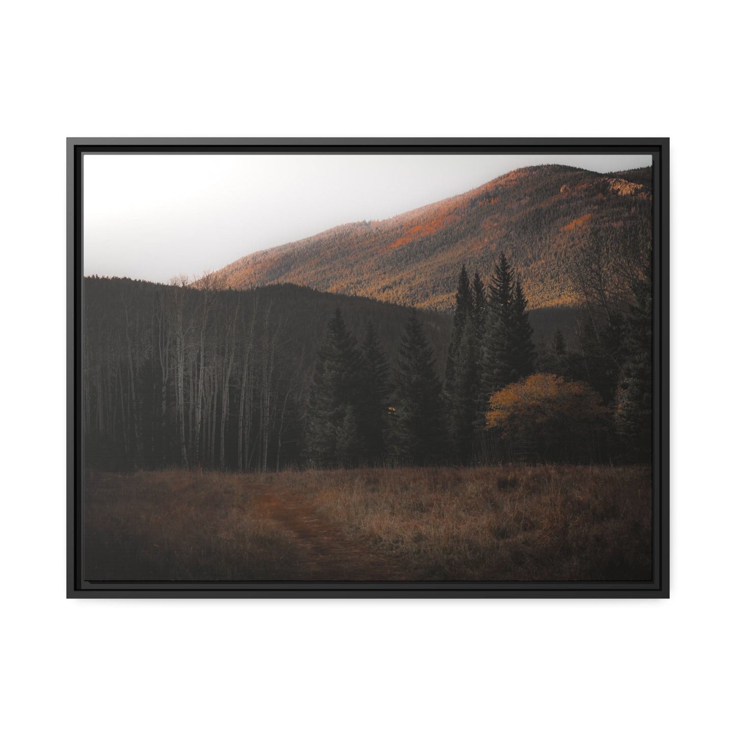 Evening Glow Framed Canvas