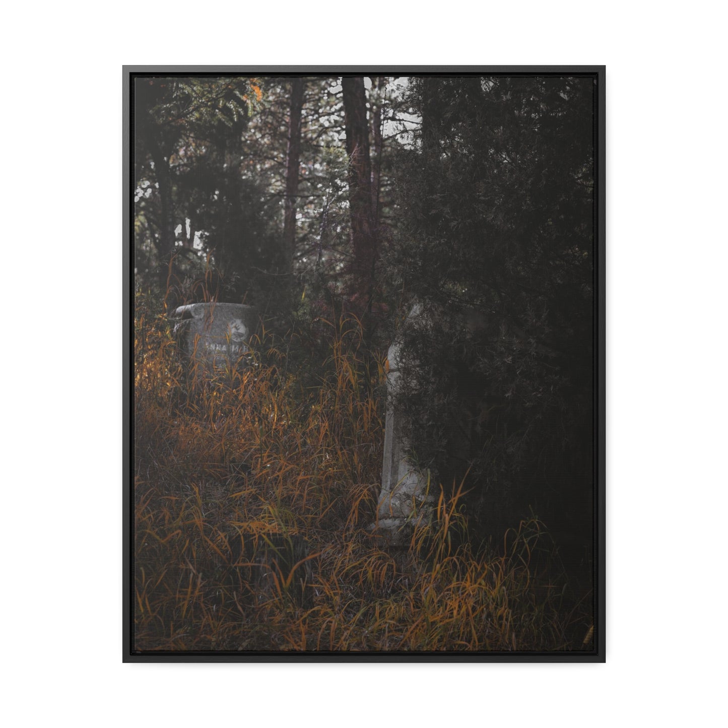 "Hidden Stories" Gallery Canvas Wraps, Vertical Frame