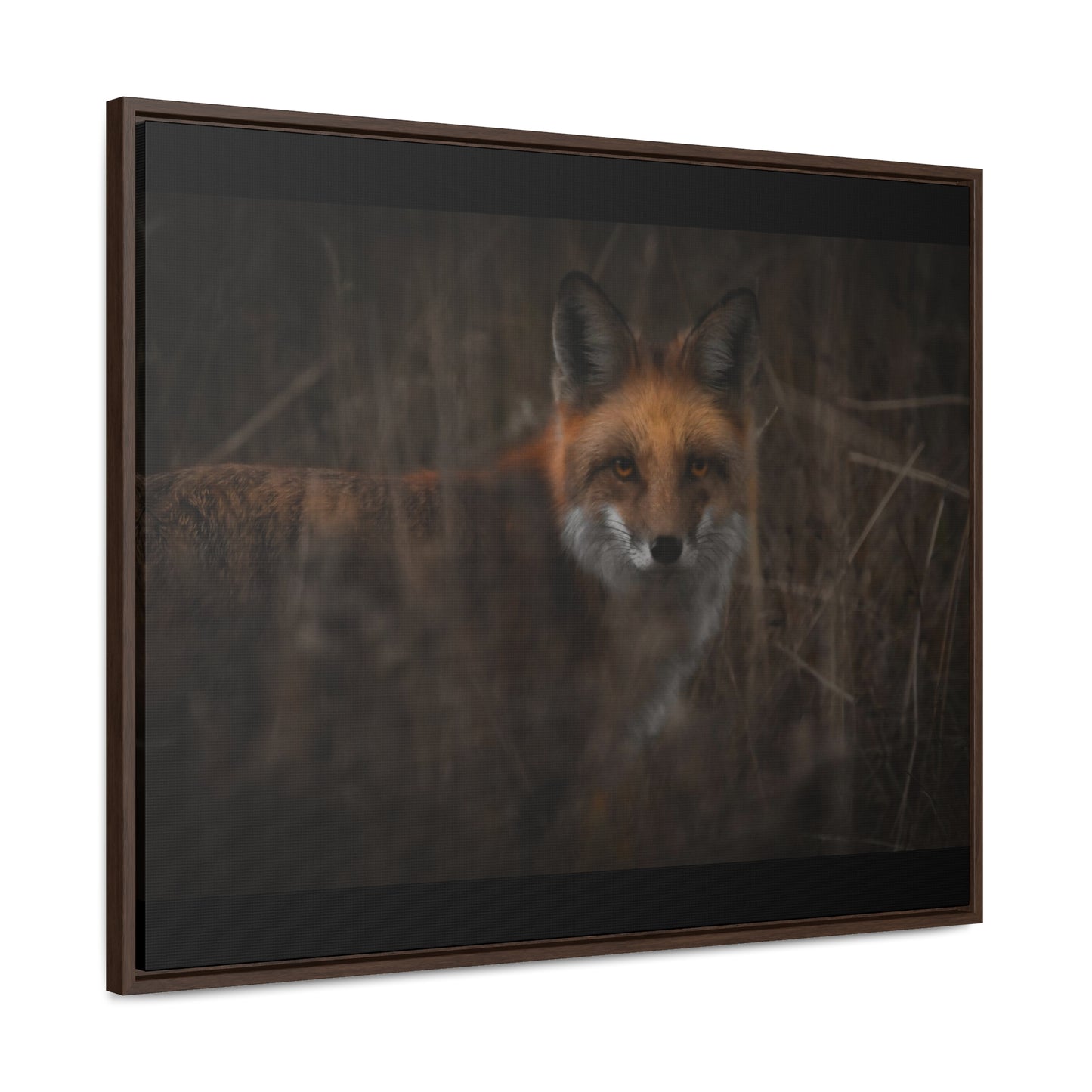 Fox Framed Gallery Canvas