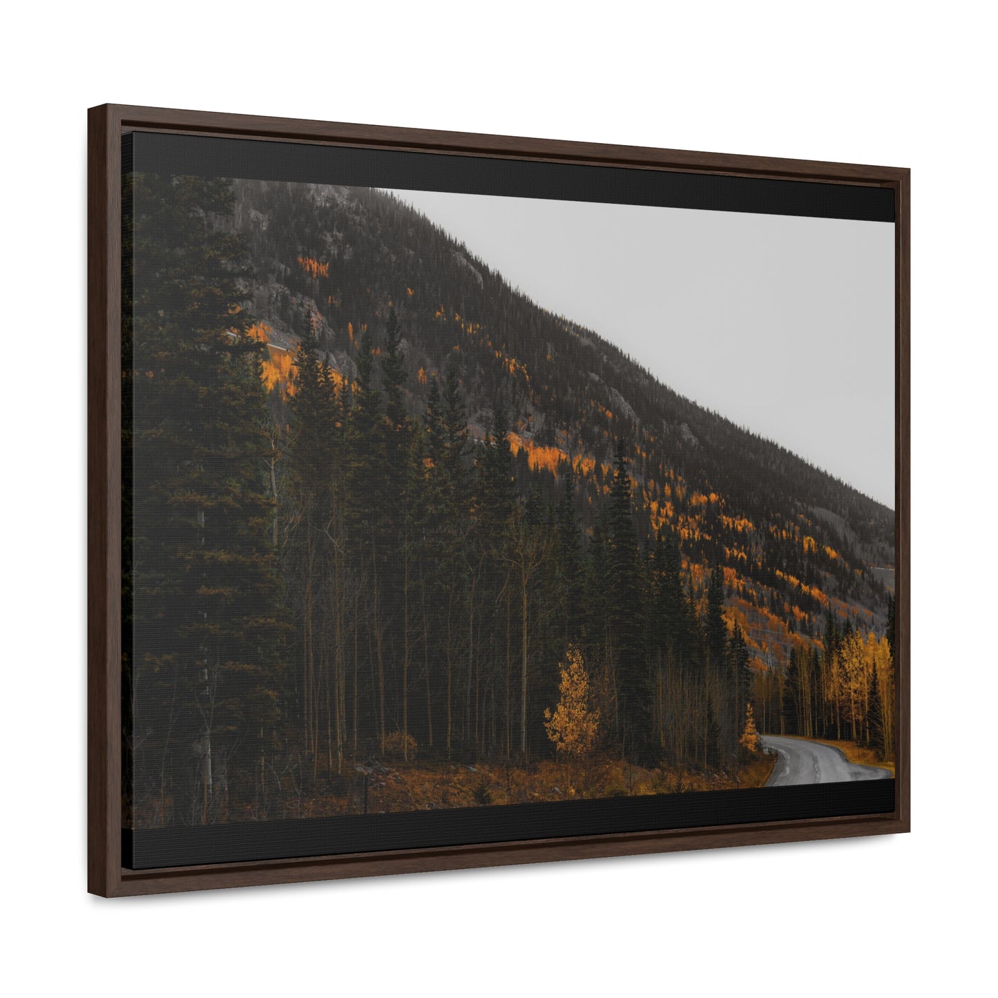 The Lonely Road Framed Gallery Canvas