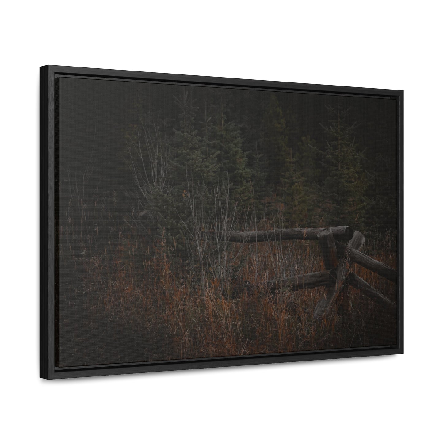 Countryside Forest Framed Gallery Canvas