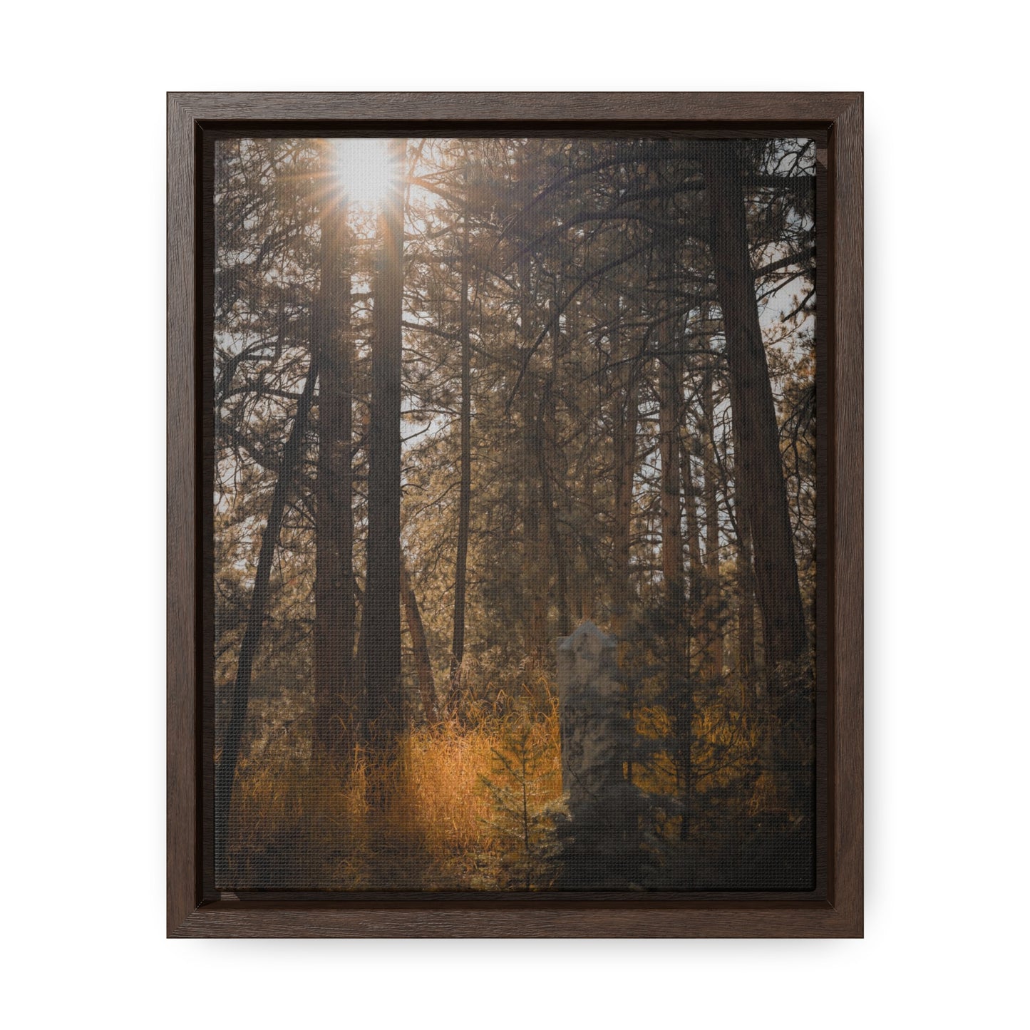 The Sun in the Cemetery Gallery Canvas Wraps, Vertical Frame