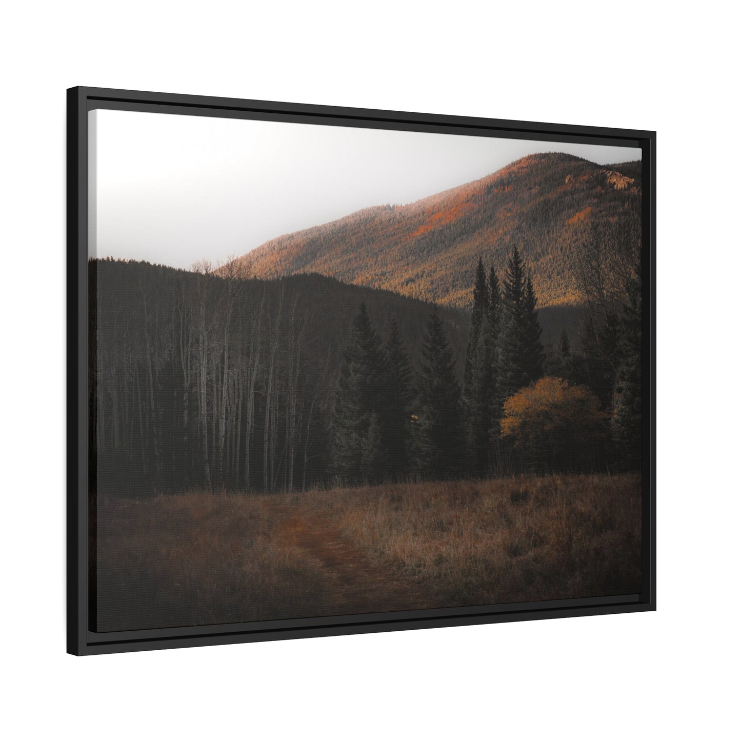 Evening Glow Framed Canvas