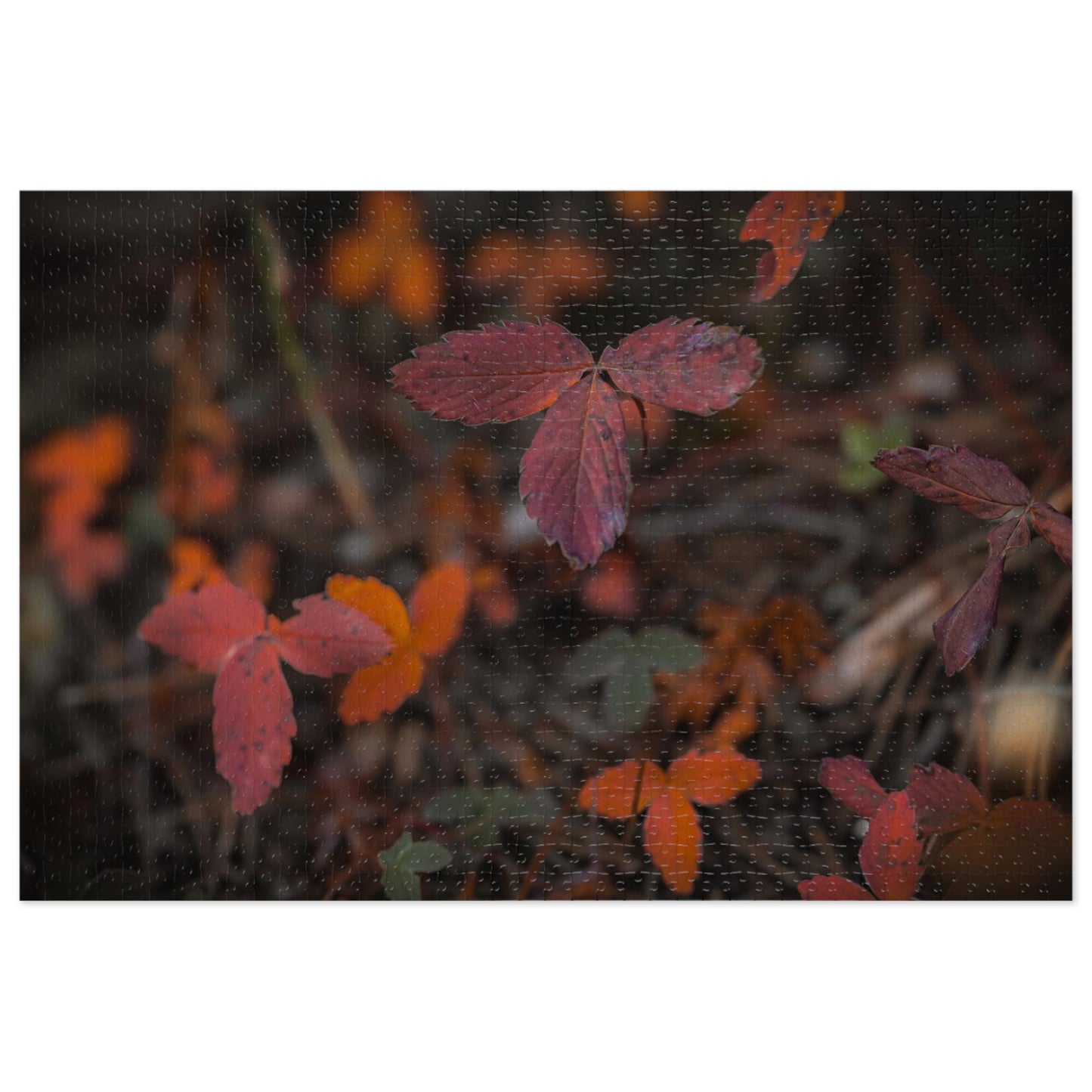 "Autumn Wood" Jigsaw Puzzle (30, 110, 252, 500,1000-Piece)