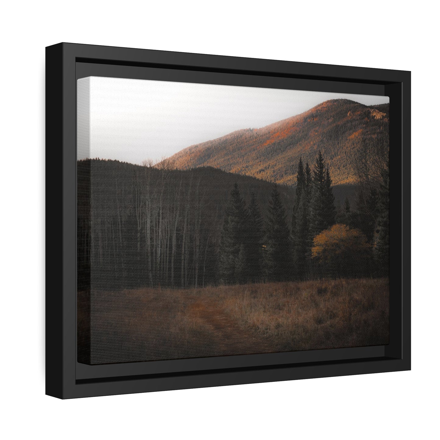 Evening Glow Framed Canvas