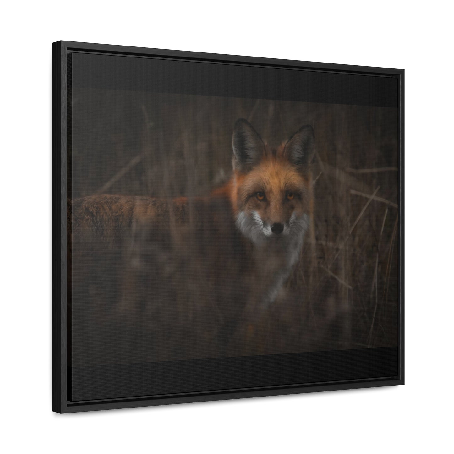 Fox Framed Gallery Canvas