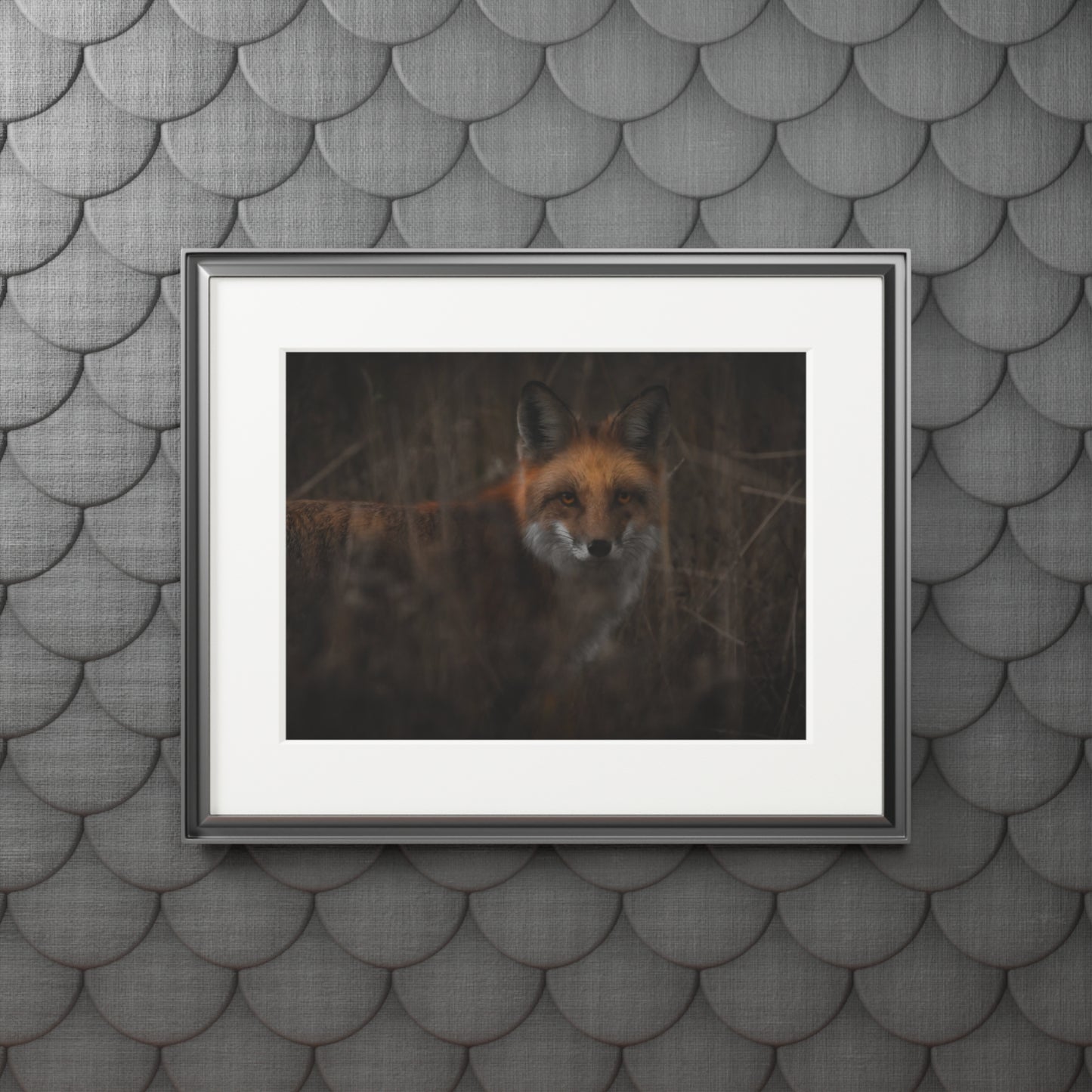 "Fox" Fine Art Prints (Passepartout Paper Frame)