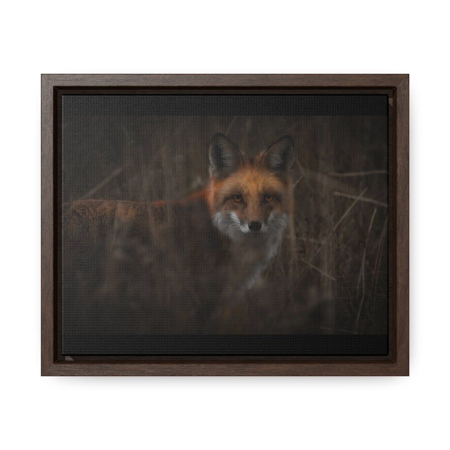 Fox Framed Gallery Canvas