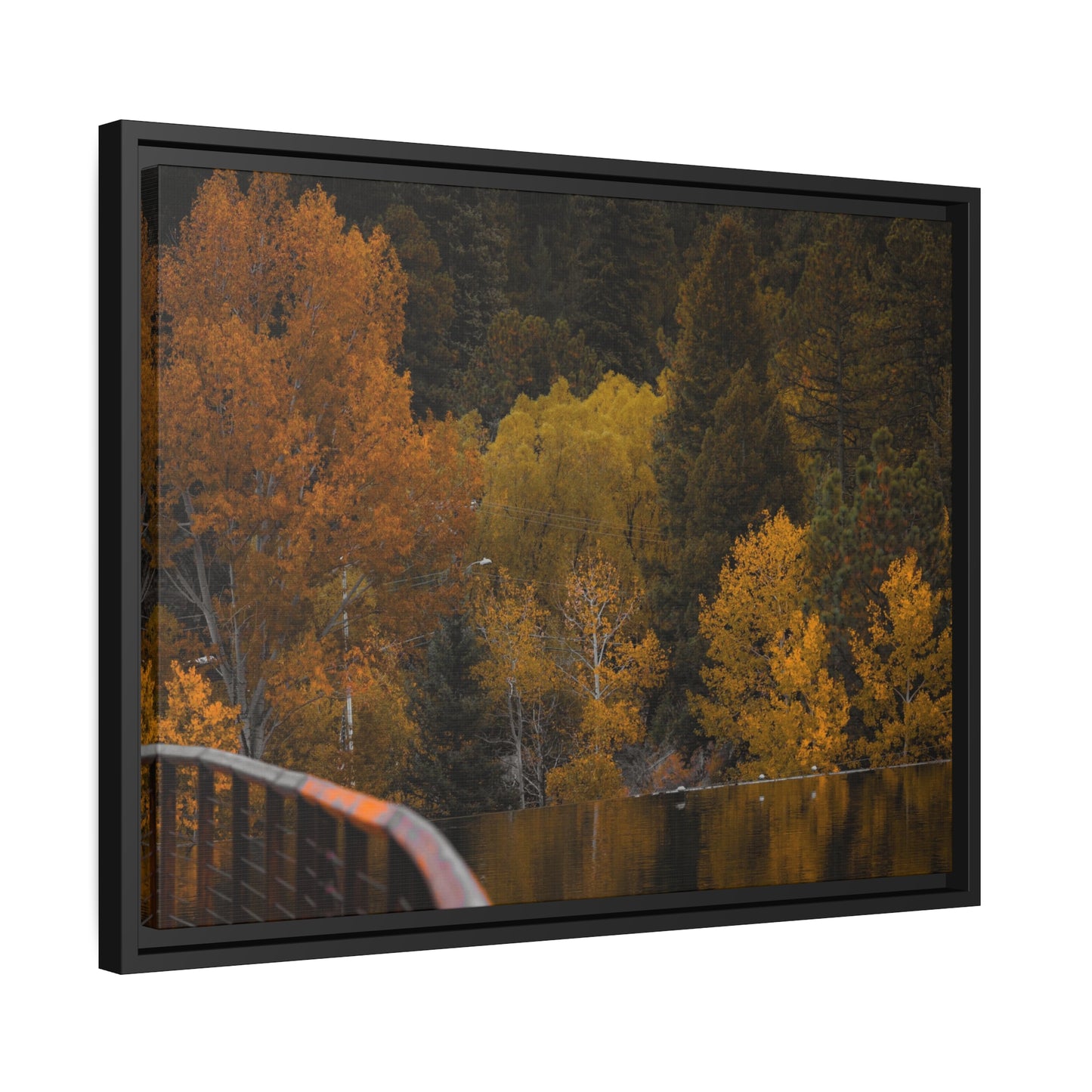 Fall Feelings Framed Canvas