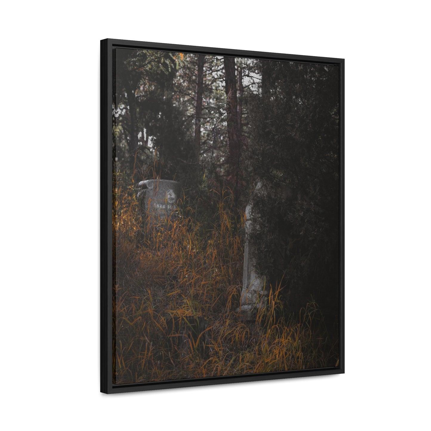 "Hidden Stories" Gallery Canvas Wraps, Vertical Frame