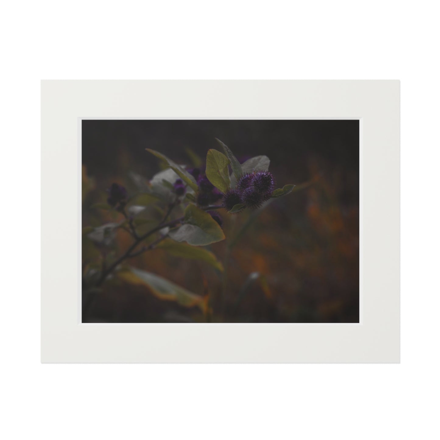 "Autumn's Kiss" Fine Art Prints (Passepartout Paper Frame)