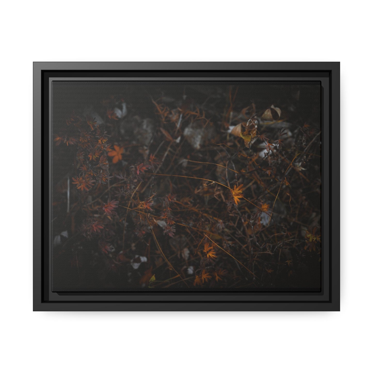 "Autumn's Last Breath" Framed Canvas