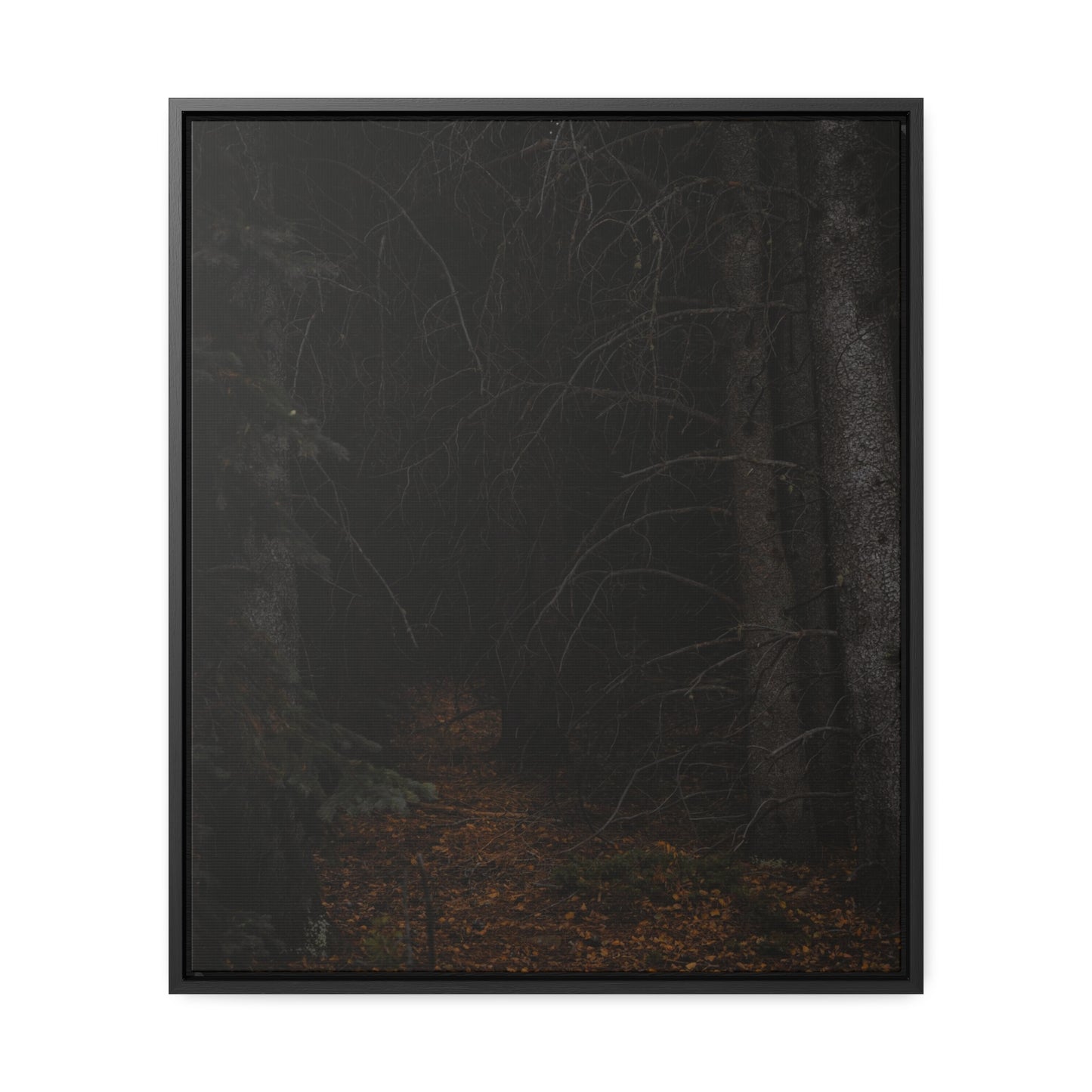 Into the Woods Gallery Canvas Wraps, Vertical Frame